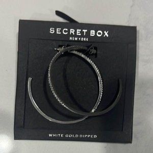 BNWT Silver Hoops